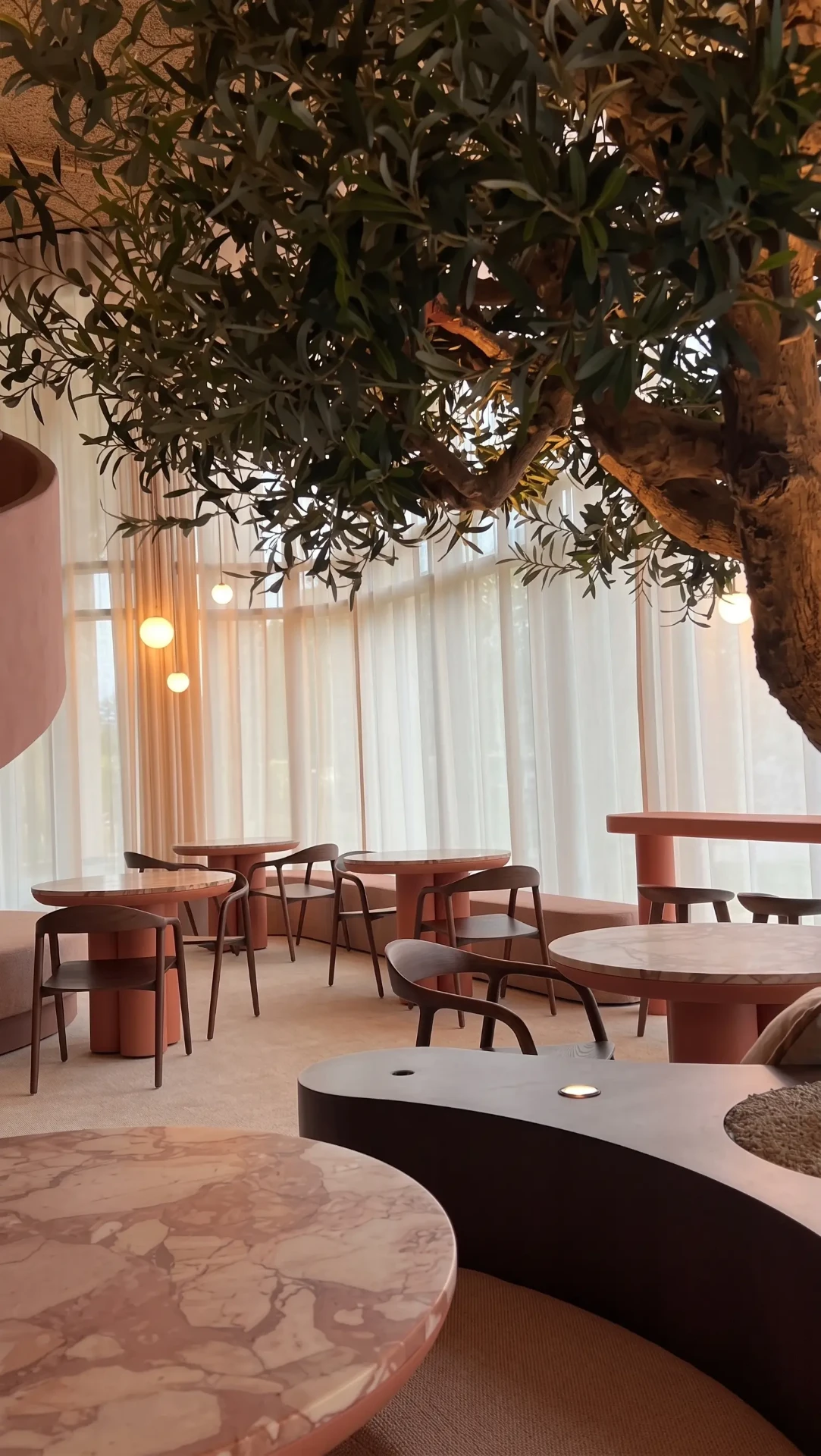 Bonsai lounge — warm walnut interiors, sculptural ceiling forms, and quiet seating bathed in daylight